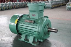 粉塵環(huán)境應(yīng)該如何選擇粉塵防爆電機(jī)型號(hào)？