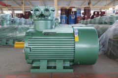 氣體防爆電機ExdIIBT4Gb的是什么意思？